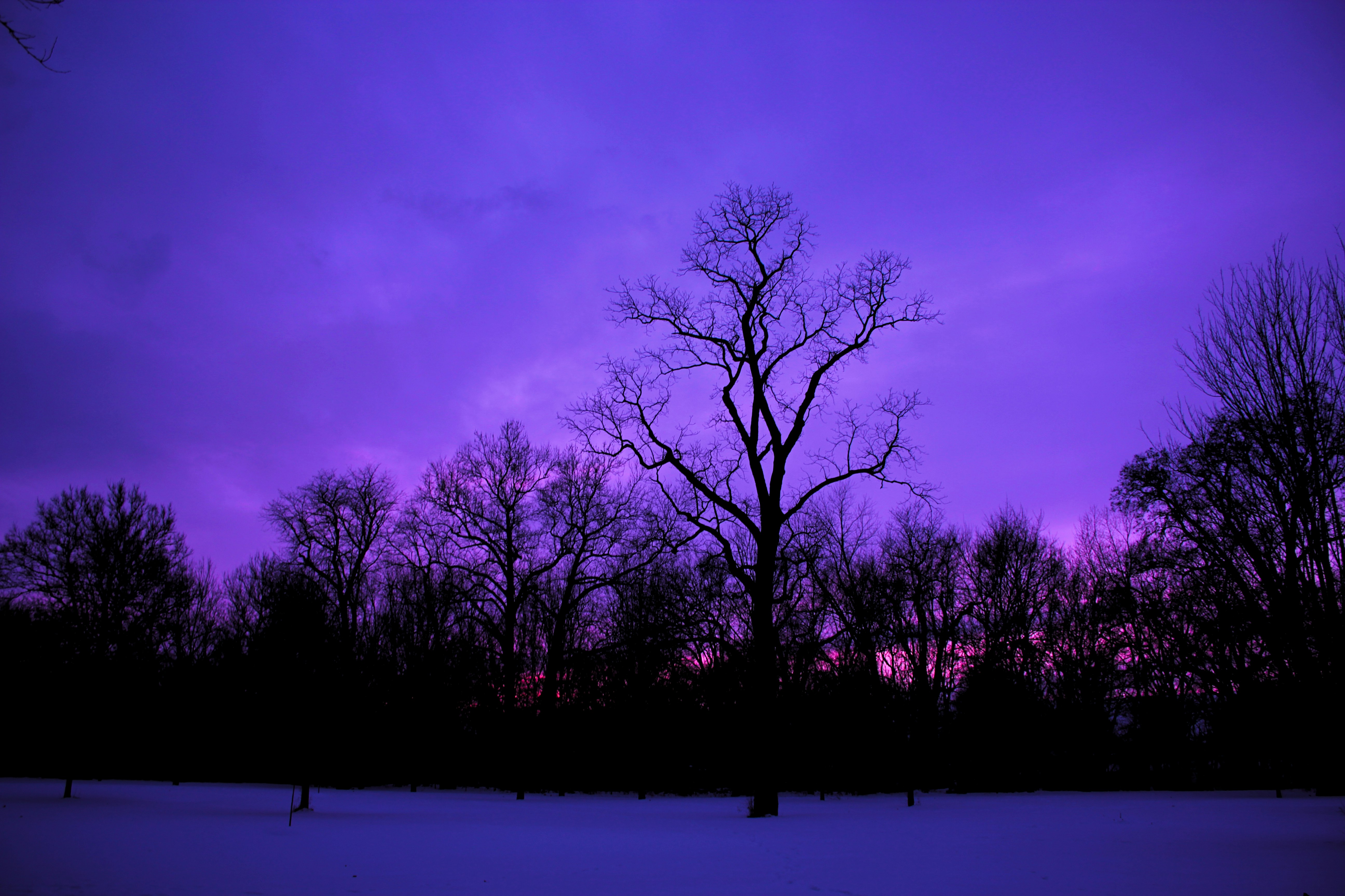 i jump between the trampolines, you throw your arms around my heart